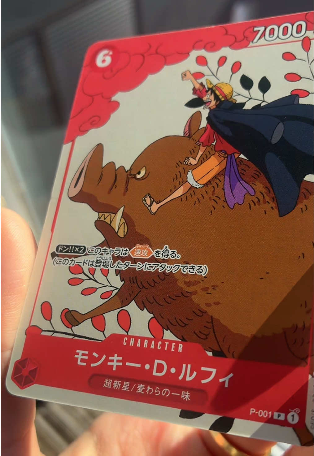 @Japan TCG Direct