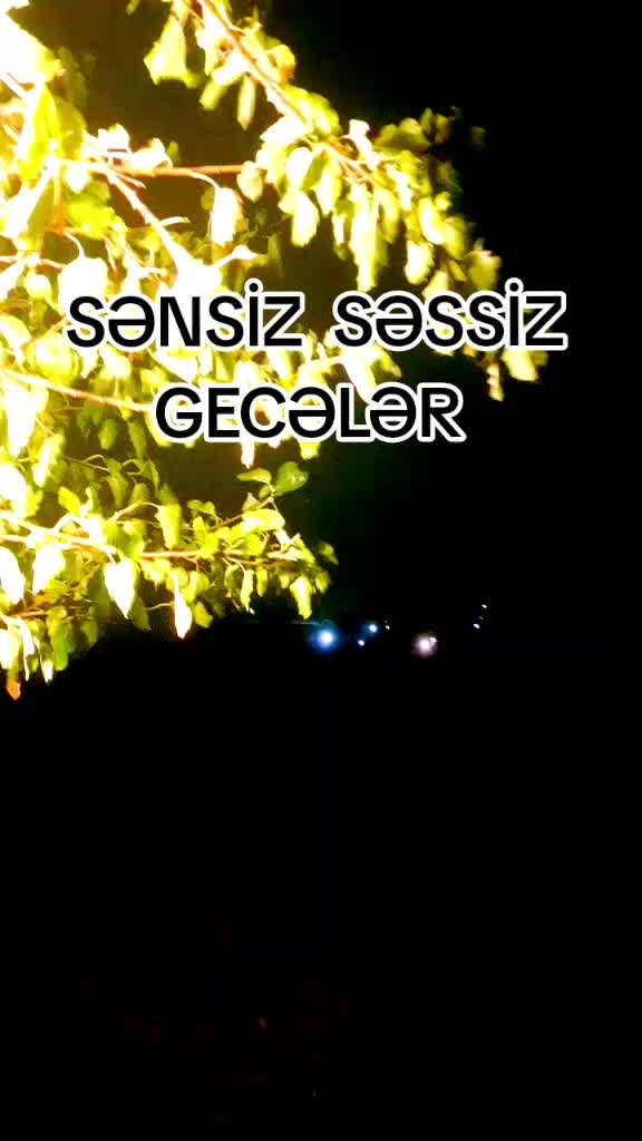 @✅AYDIN HƏSƏNOV✅