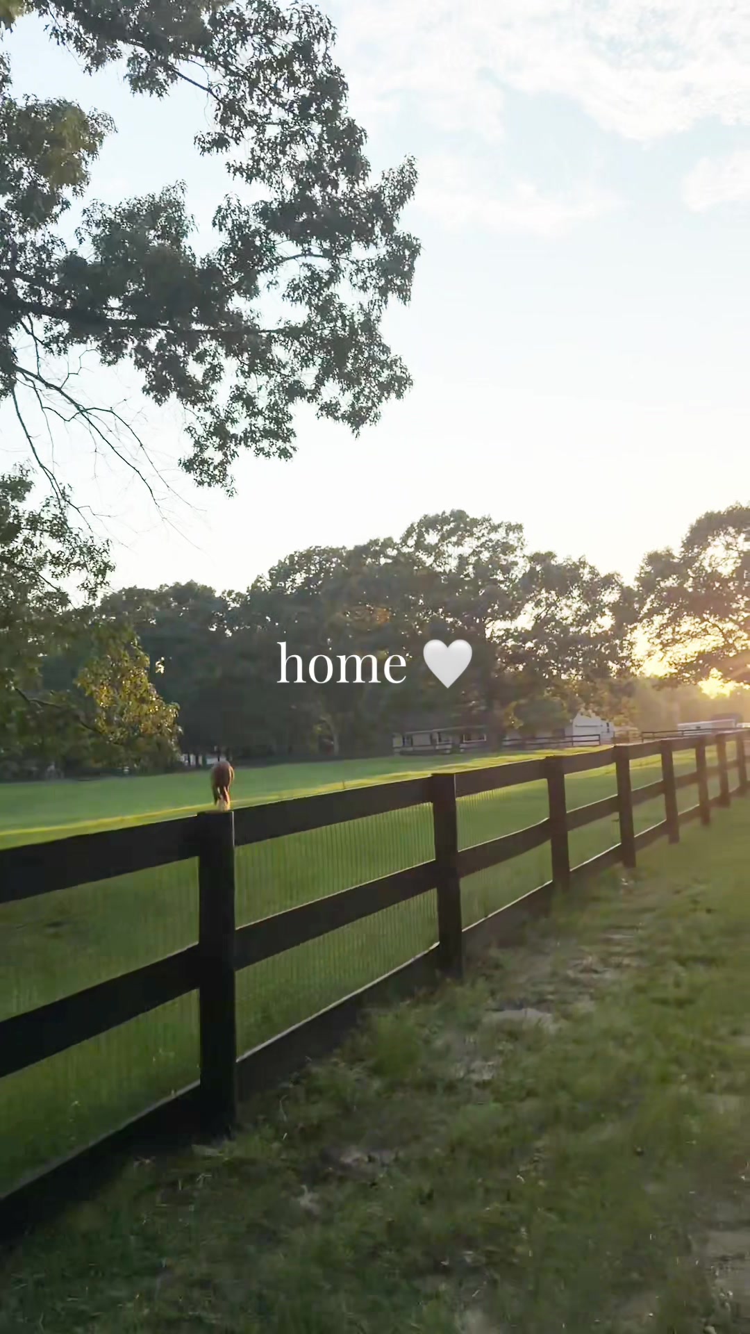 @corderoequine