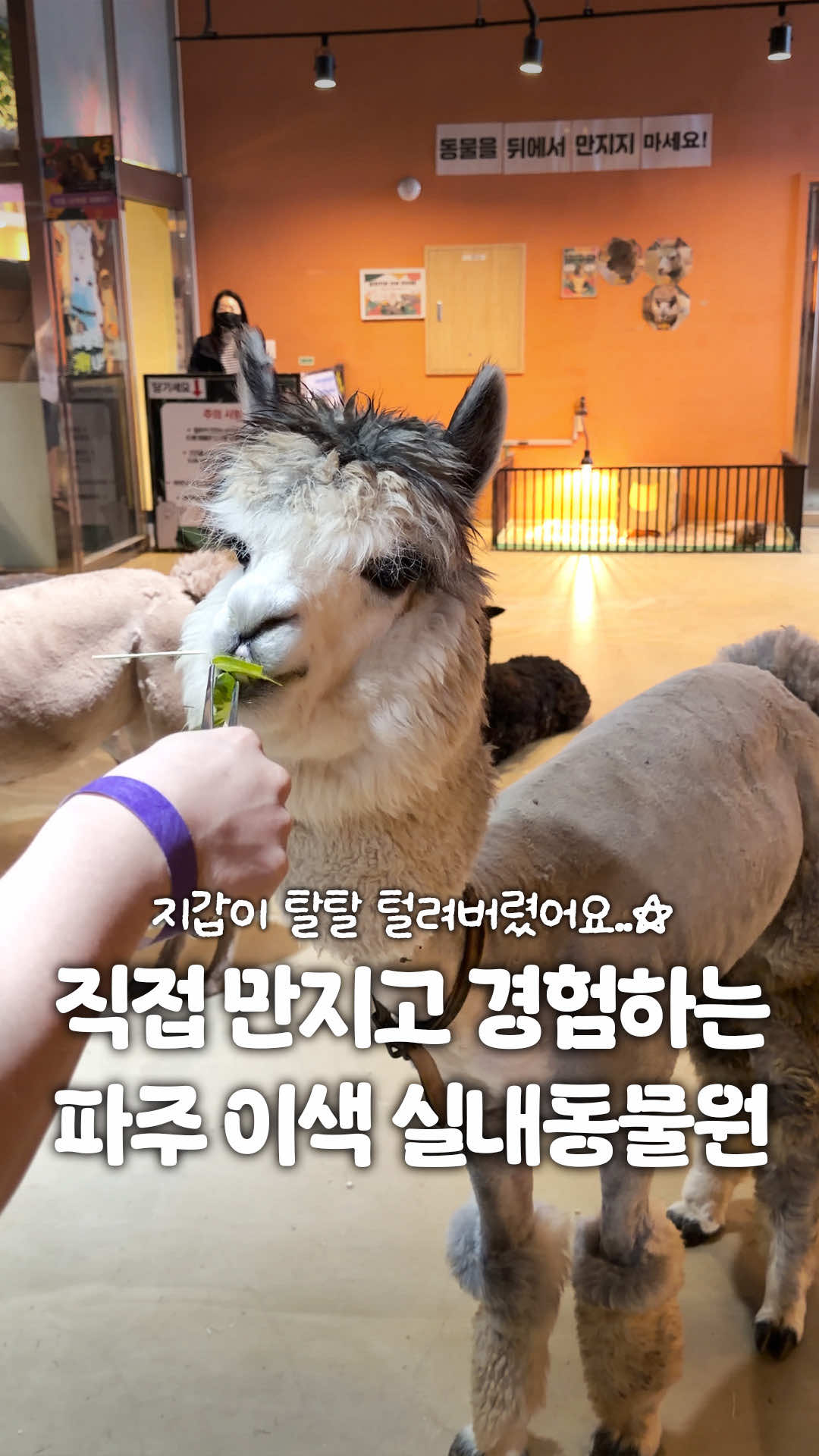 @일산갈고양