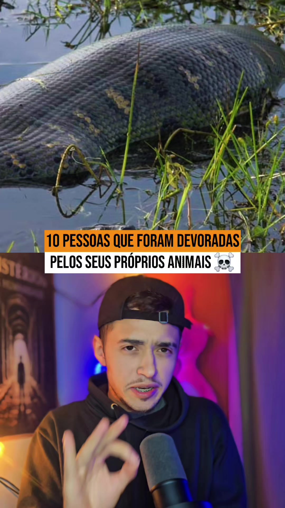 @Oito Mundos 🌎