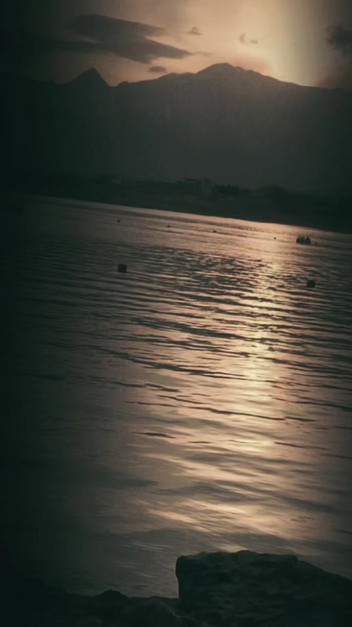 @🌸 𝓠𝓾𝓮𝓮𝓷 🌸