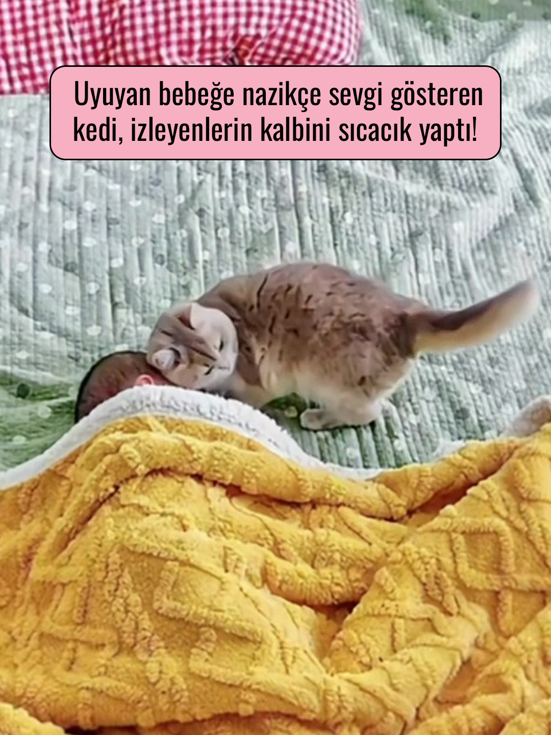 @Mynet Kadin
