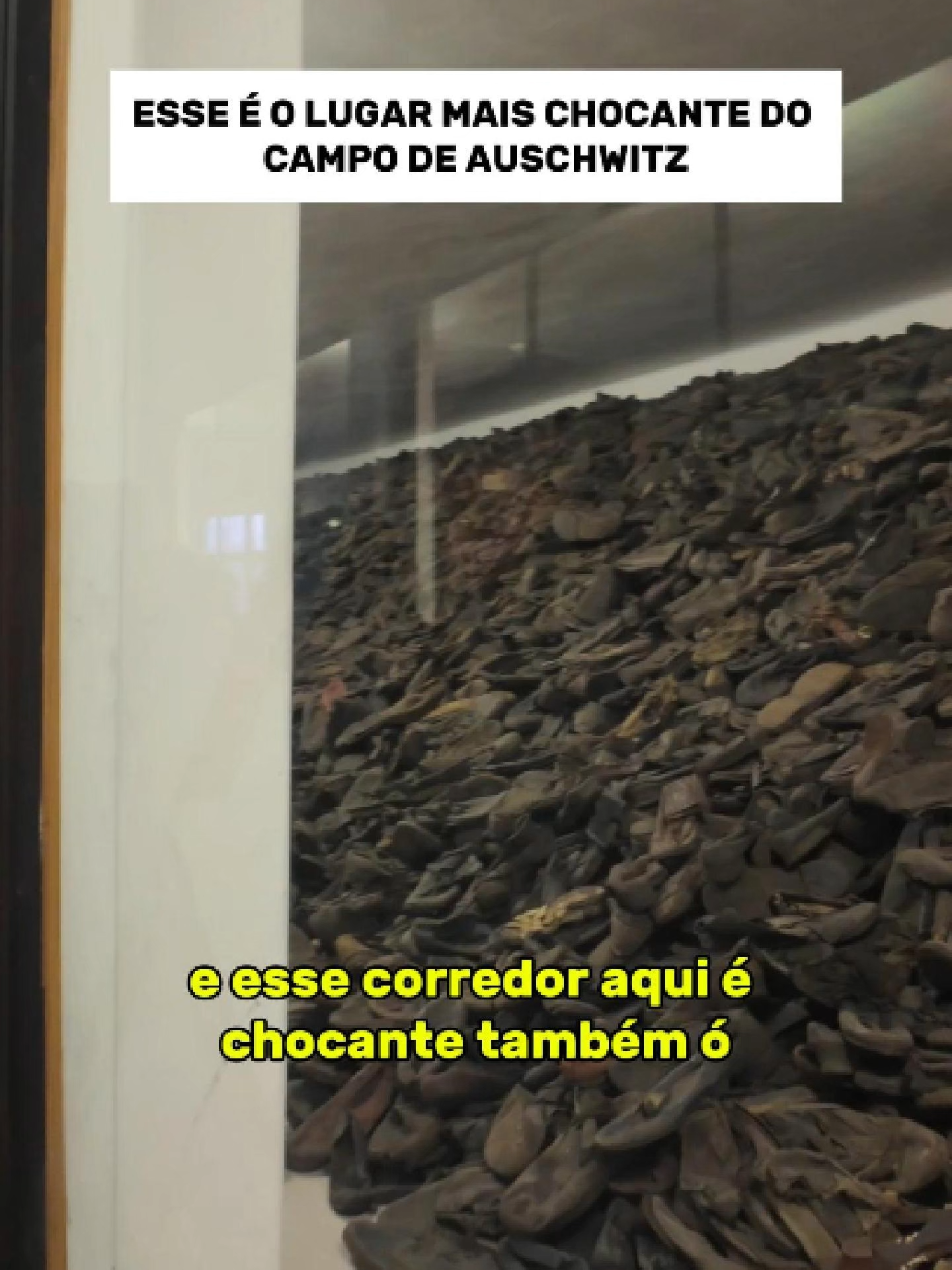 @vousemvoltaoficial