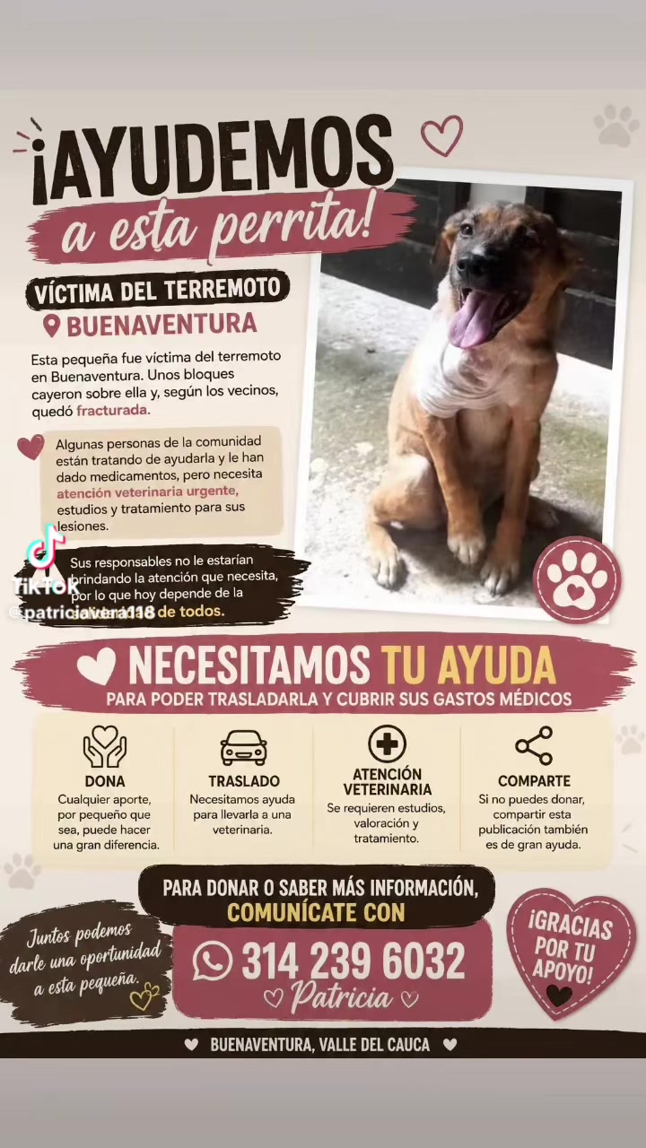 @Amigoscaninos_Ambato