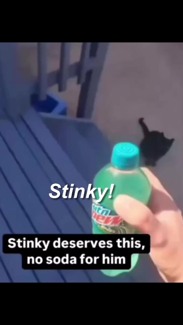 @TheFatMemes