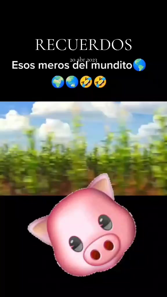 @El Petróleo🛢️😎