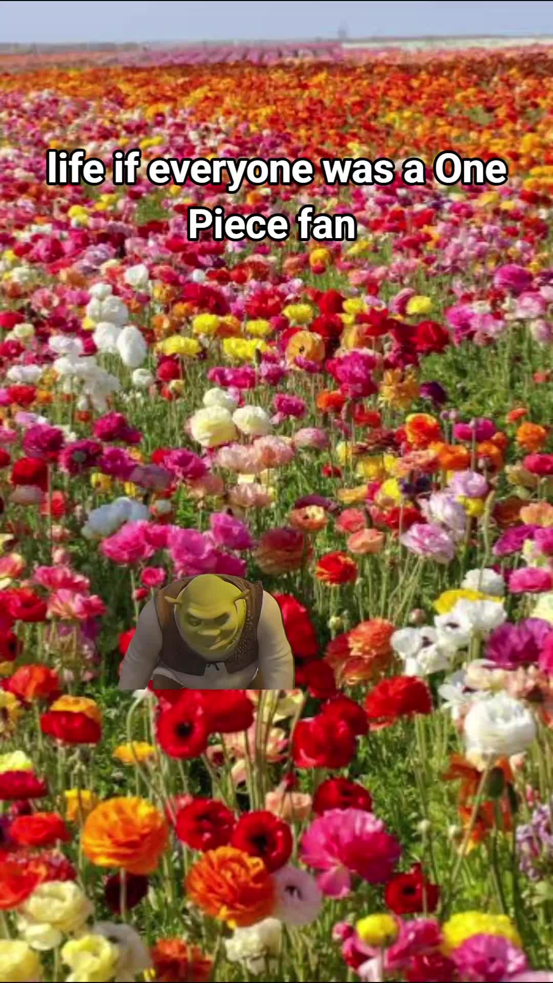 @Will