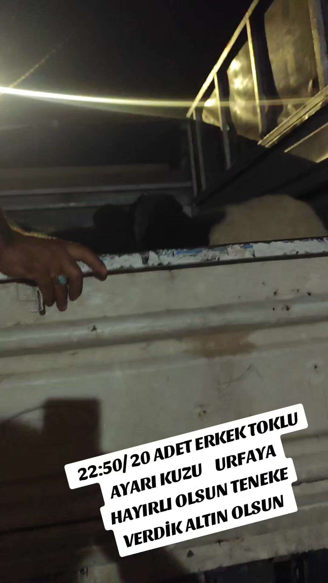 @ADAKCI CUMA