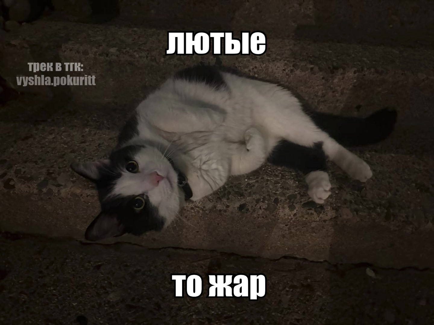 @вышла покурить