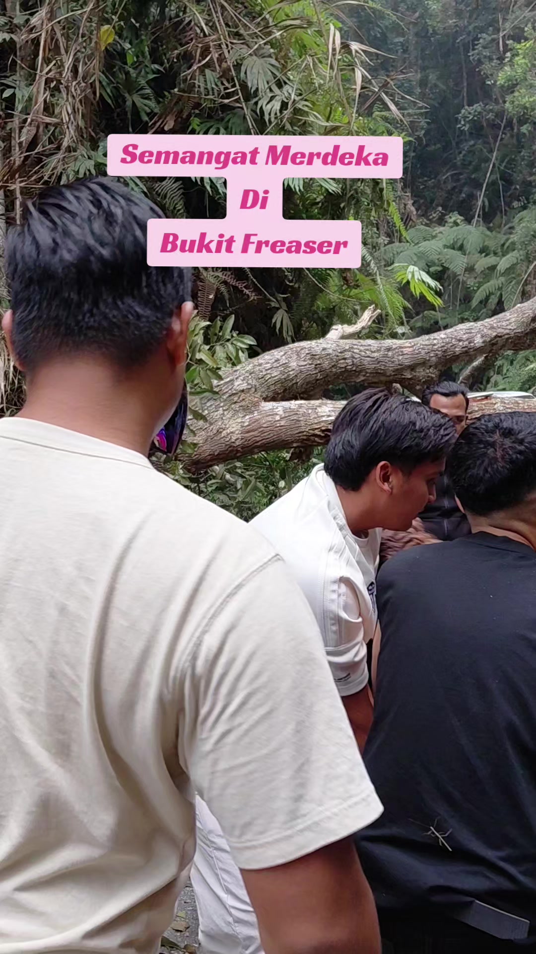 @Gagak_Hijau
