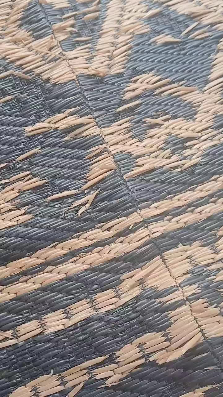 @Dana Molina