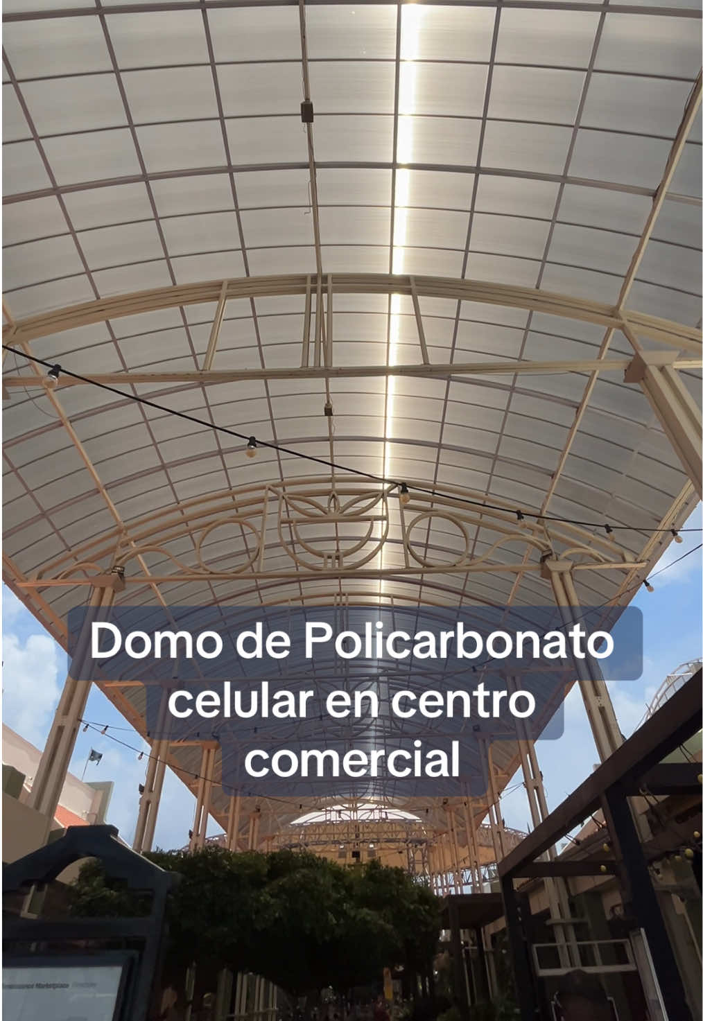 @PolicasaQro
