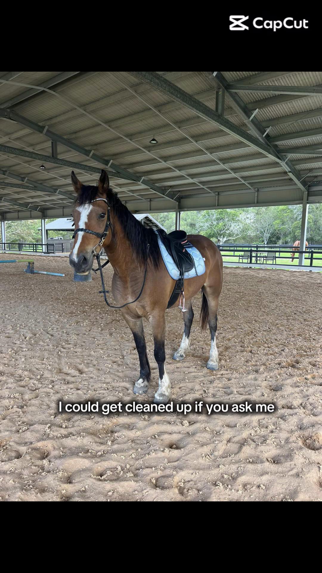 @Lola_is_my_pony