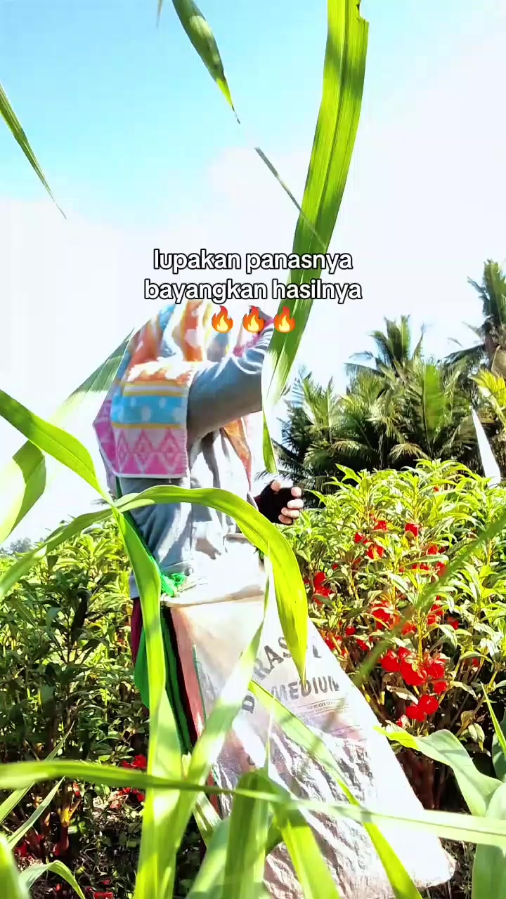 @ayu setiawati