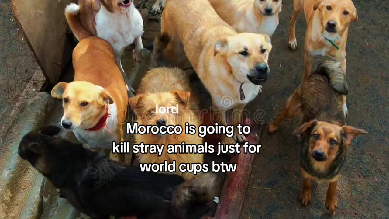 @๐๐ญ๐ฎ๐ด๐พ๐ฏ๐ช๐ท๐ต