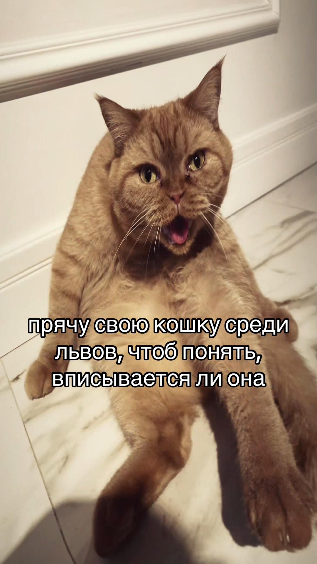 @браiн