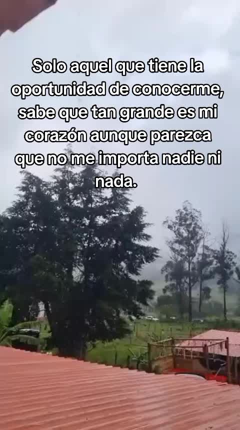@Angie ⚡