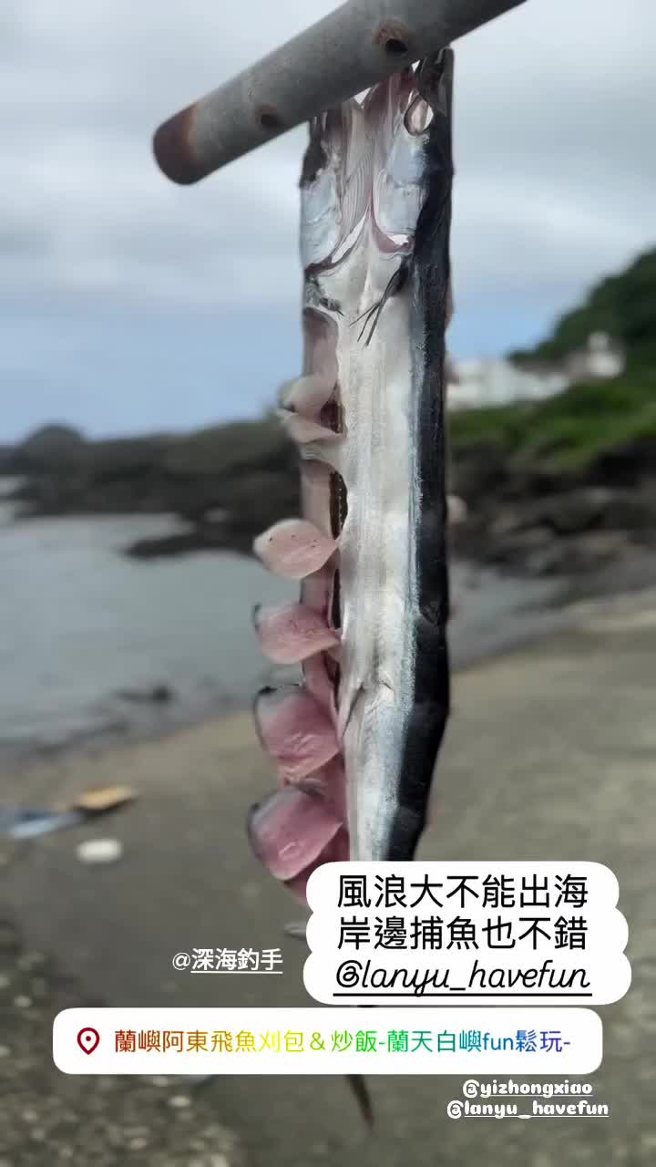 @蘭嶼阿東飛魚刈包(創始店)椰油77號
