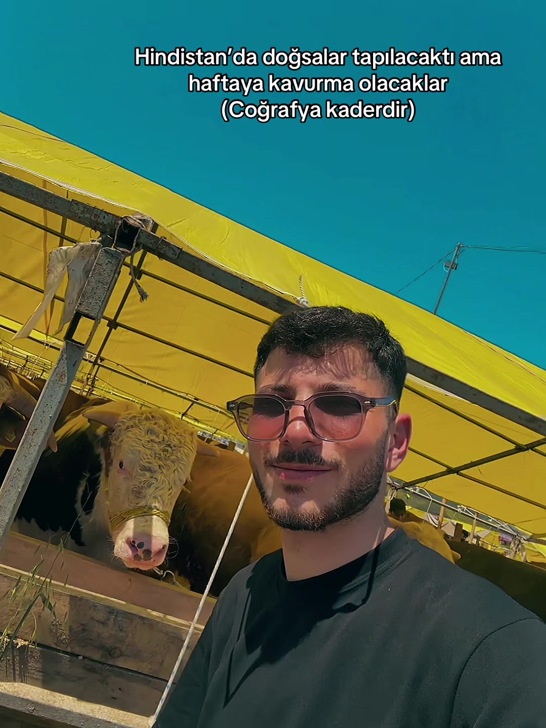 @KAAN ALTUCA