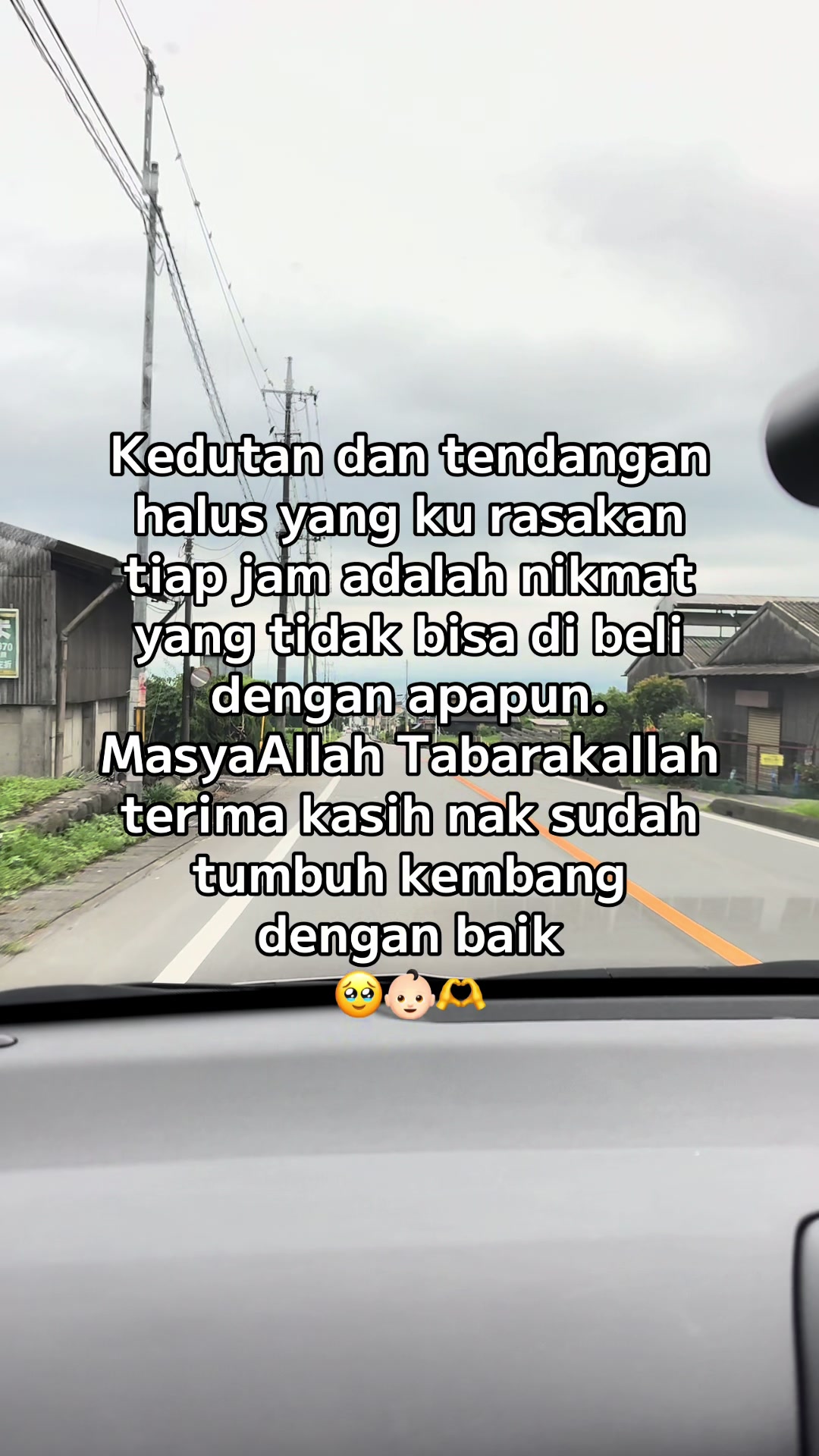 @bunabill🕊