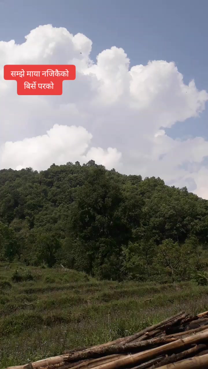 @सरु गुरुङ