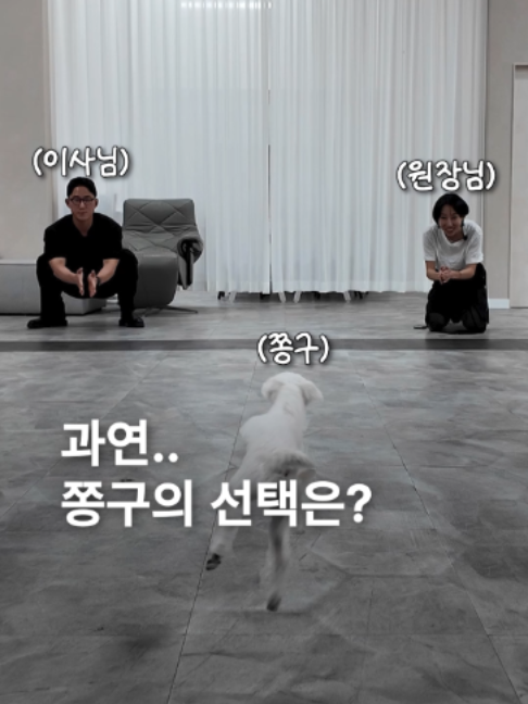 @요롱의사 황아름