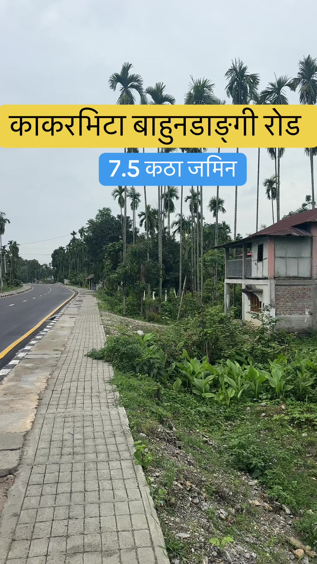 @Maikal ghar jagga