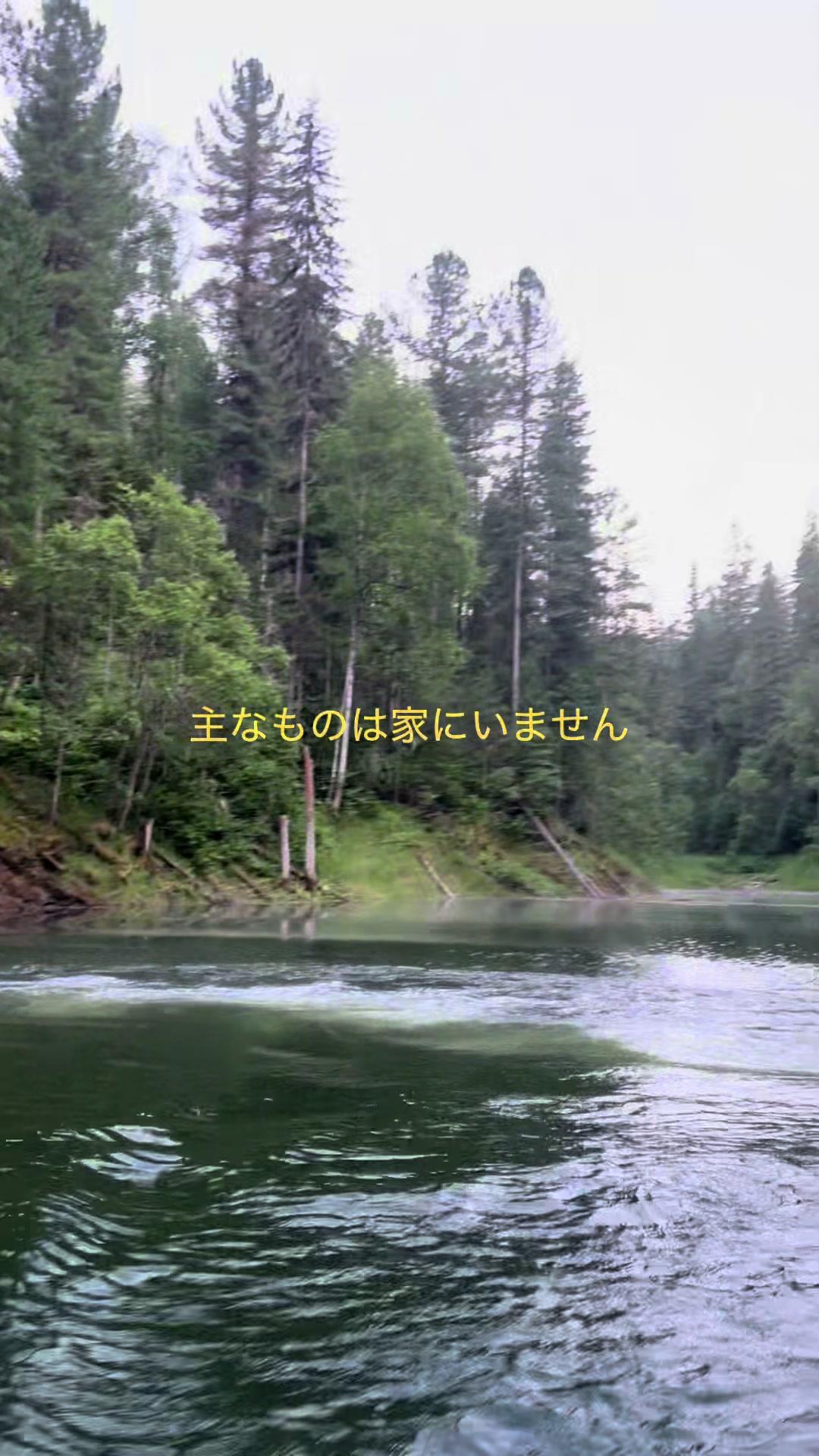 @фа3нтовна༺