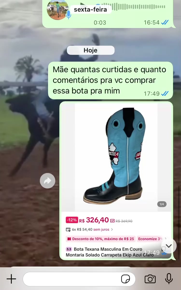 @andré🪶