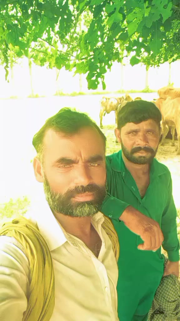 @Falak Sher Baloch