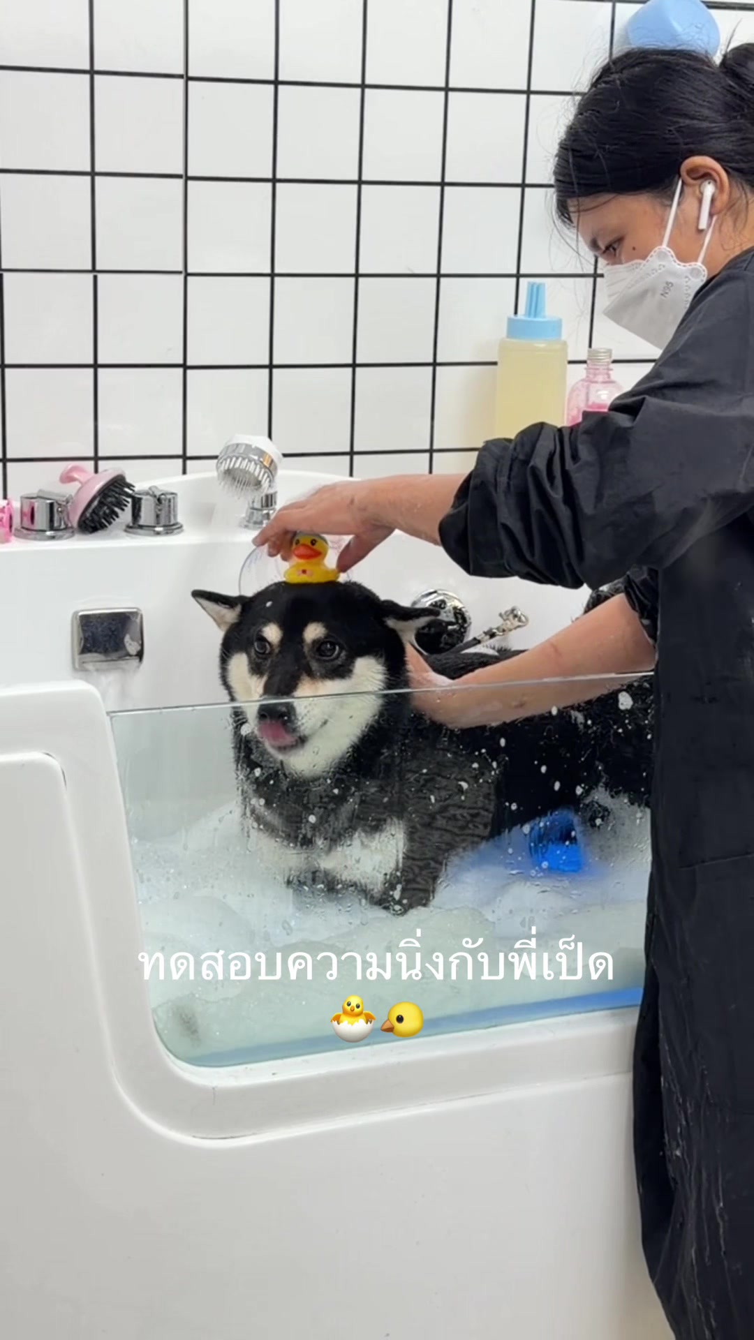 @mybossgrooming
