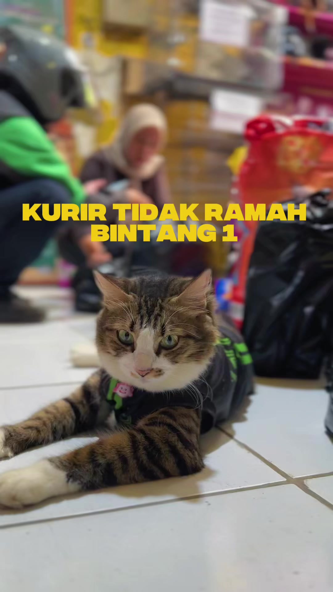 @bejo petmart