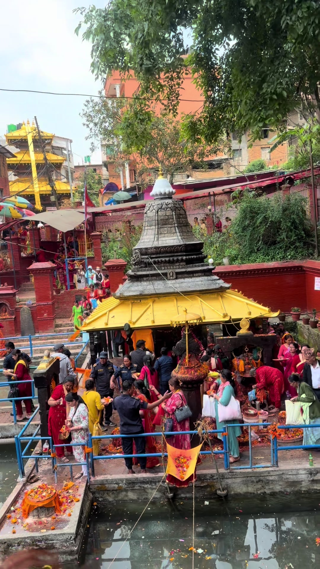 @Ambika Bhandari Boha