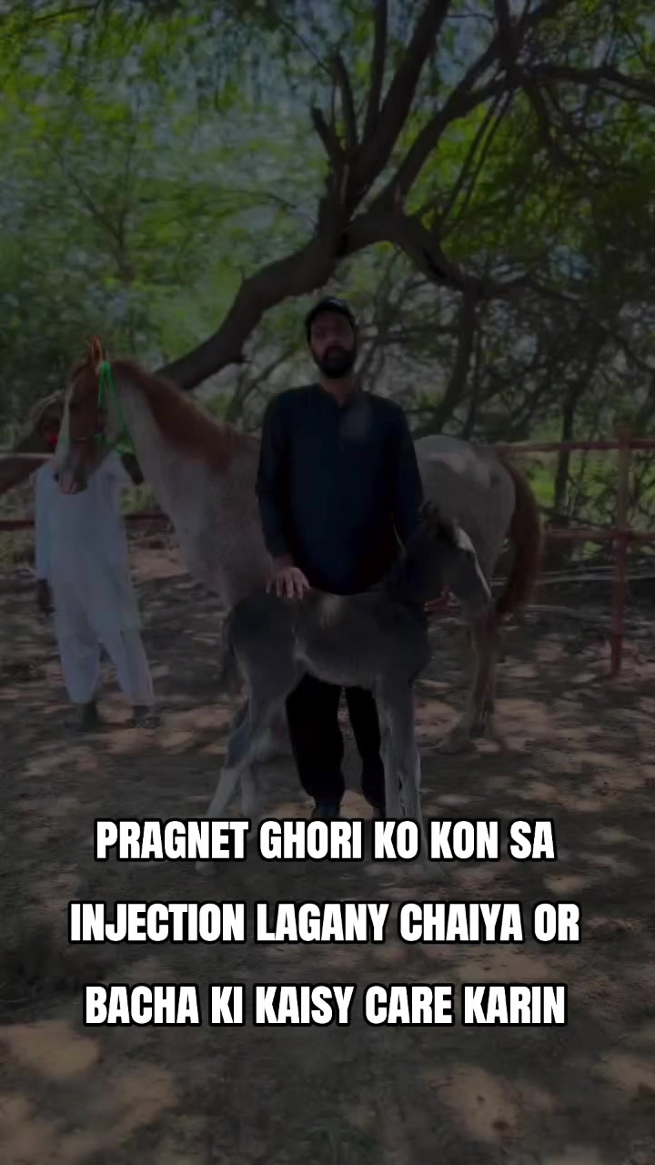 @hamara village sipyala🐴🐎🇵🇰