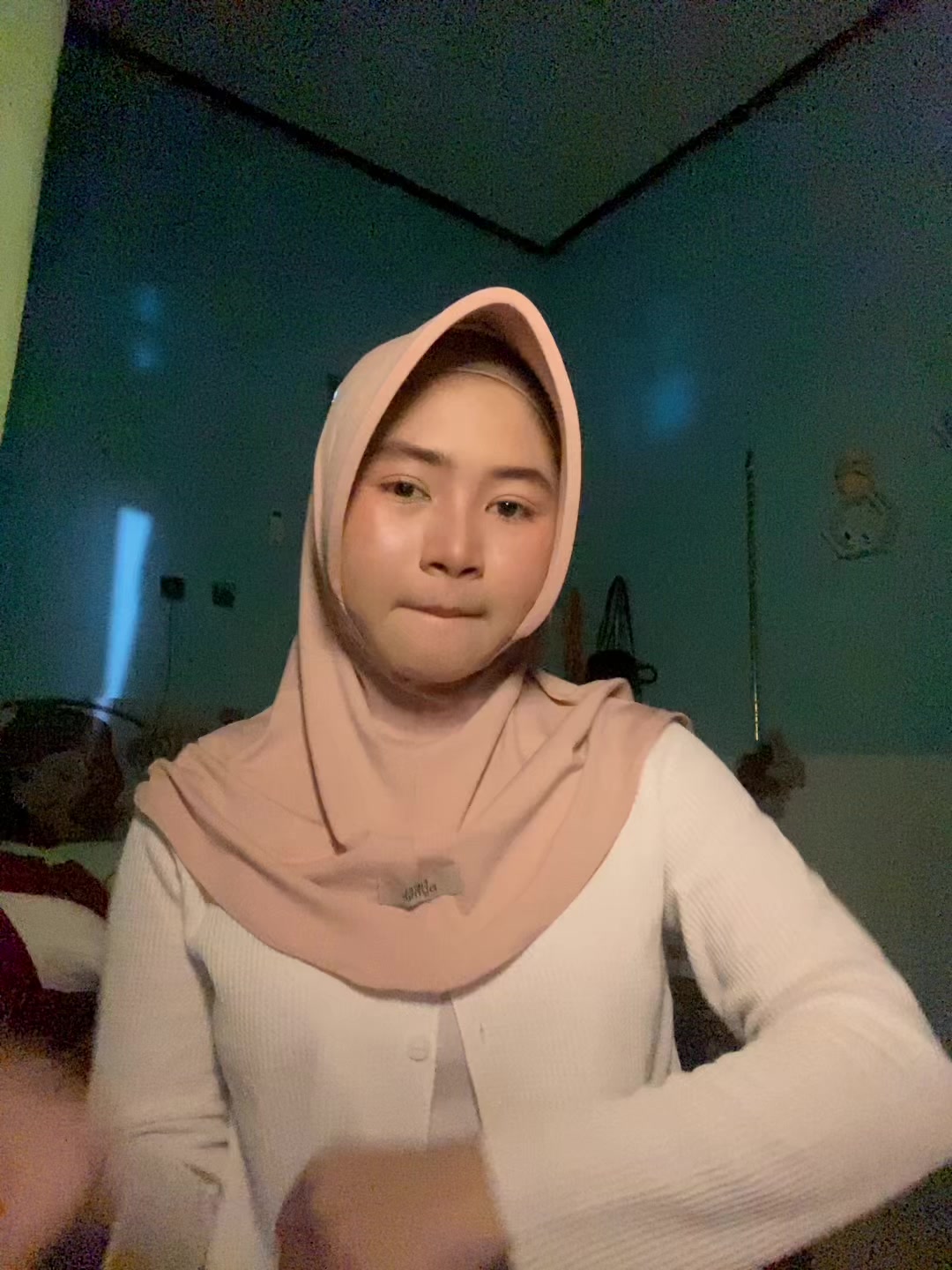 @⋆ ̊ ⋆୨ Van ୧⋆ ̊ ⋆