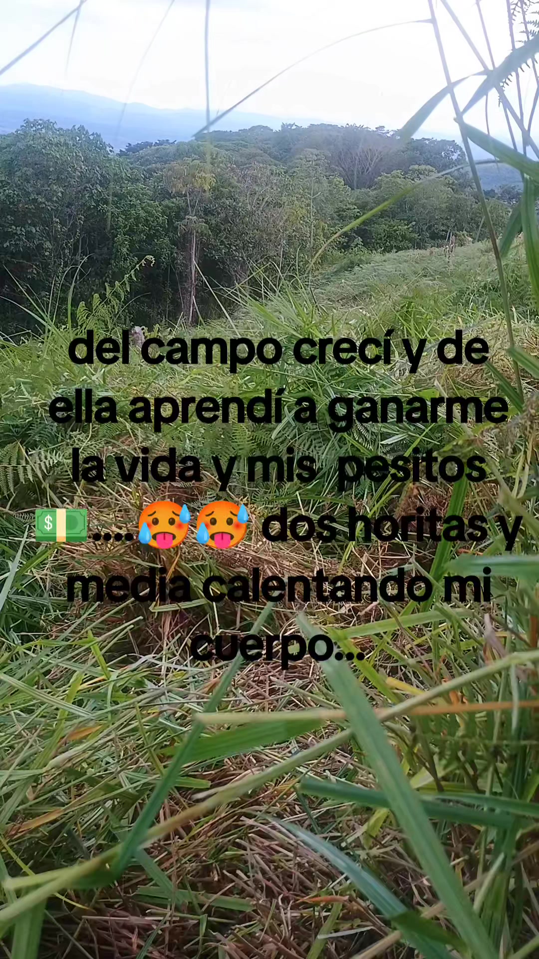 @Pedro Rojas
