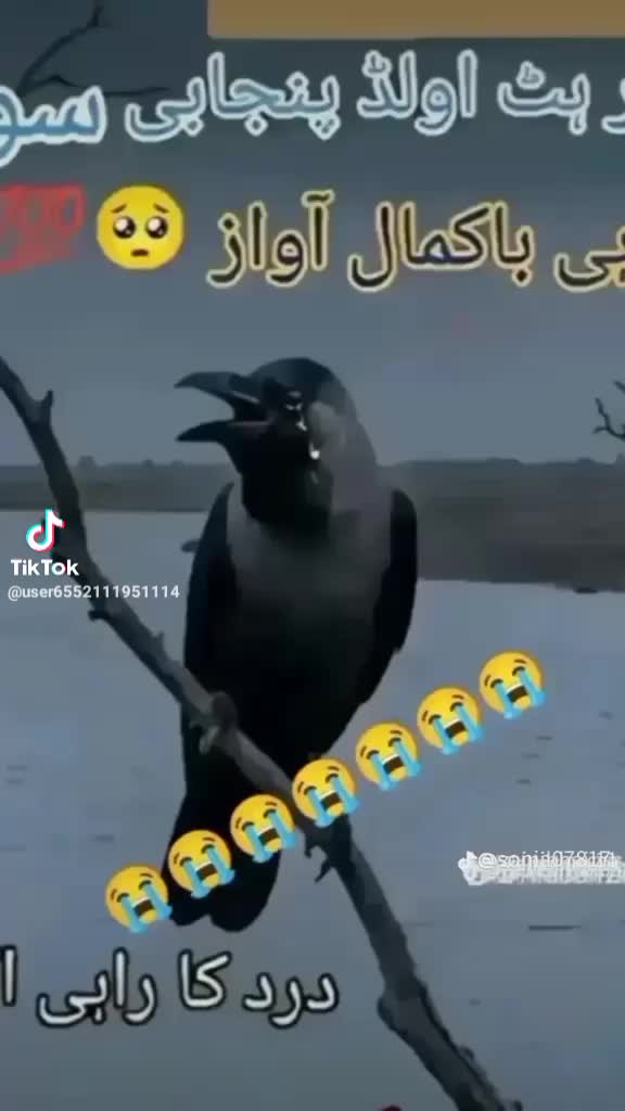 @Nasir muhammad