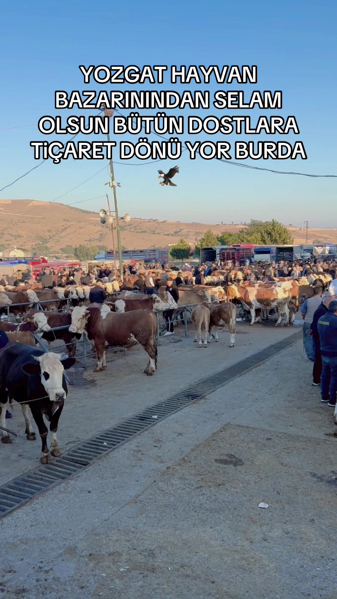 @HASAN AVŞAROĞLU🧿🌶️