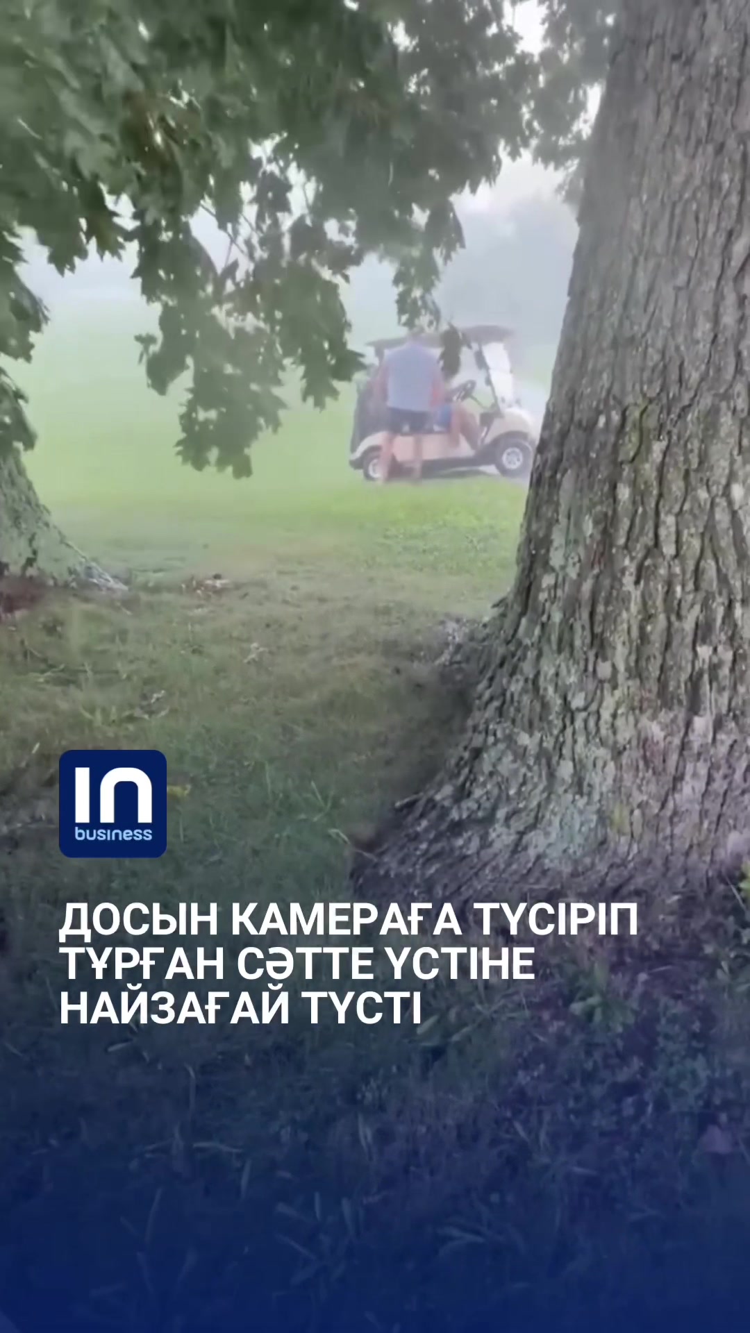 @inbusiness.kz