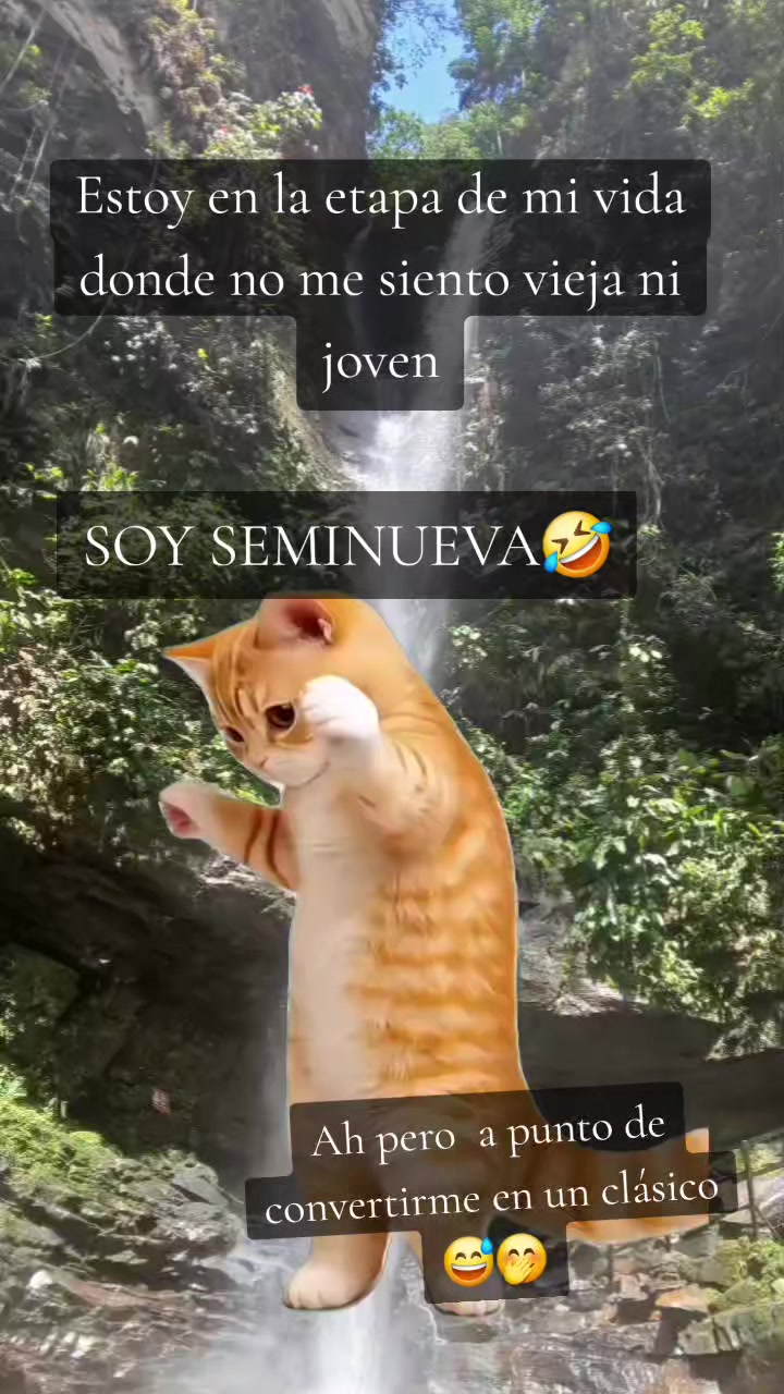 @Ive Guti⚘️