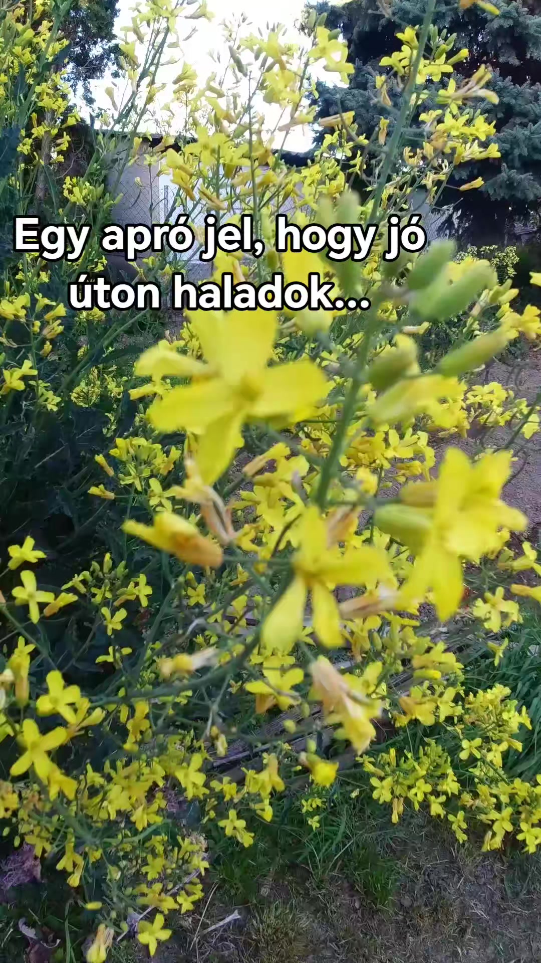 @𝐑𝐢𝐜𝐡𝐚𝐫𝐝