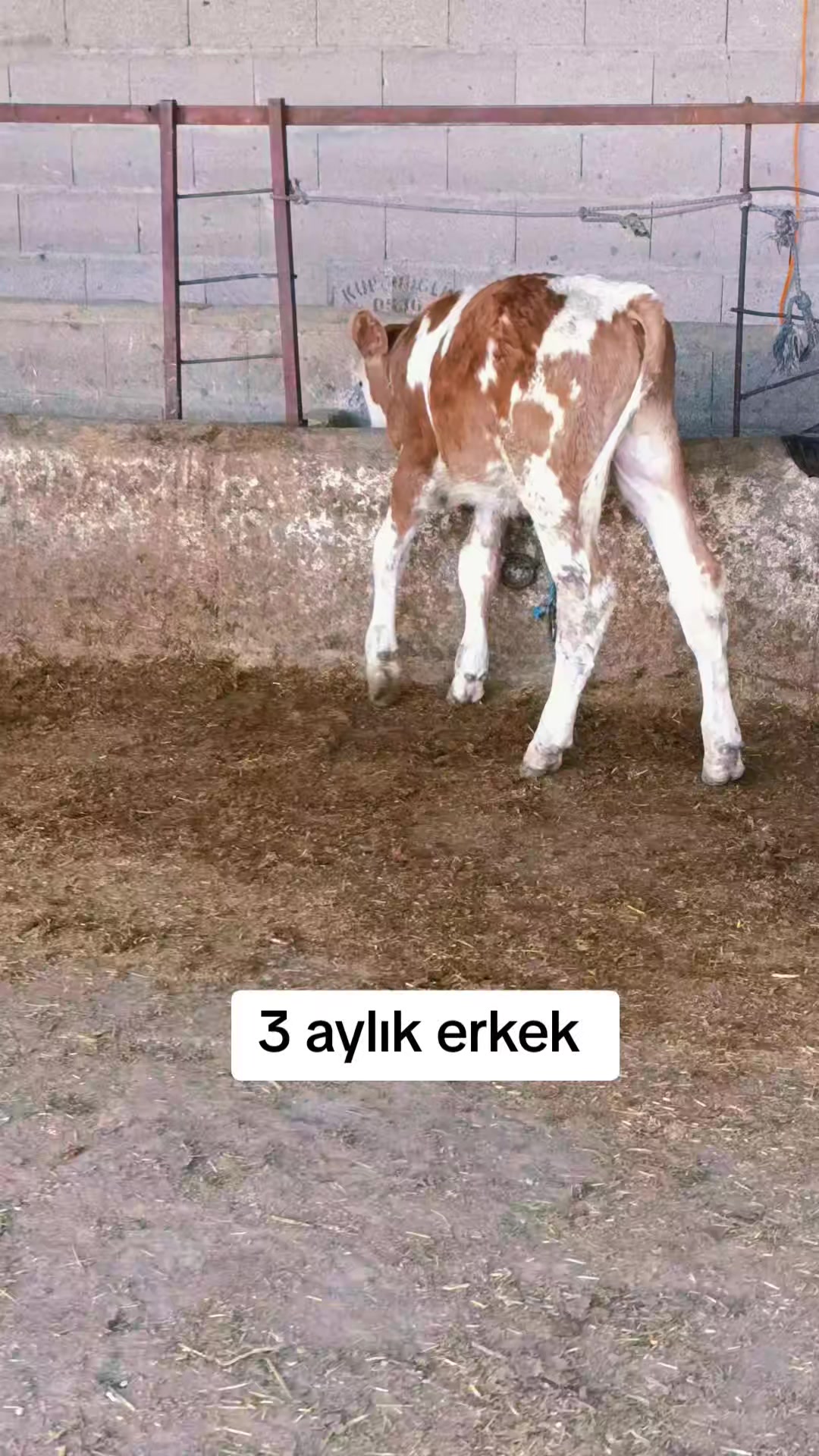 @Ömer 51