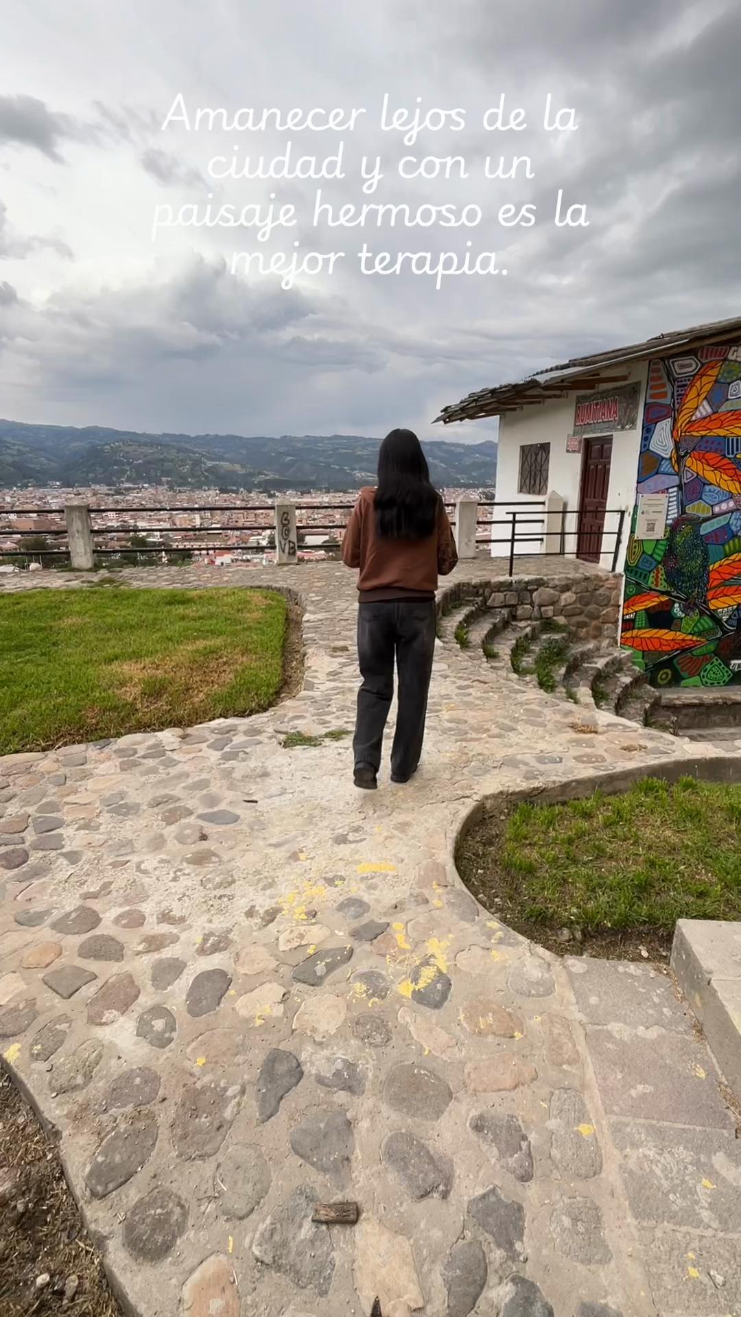 @alemedinag2405