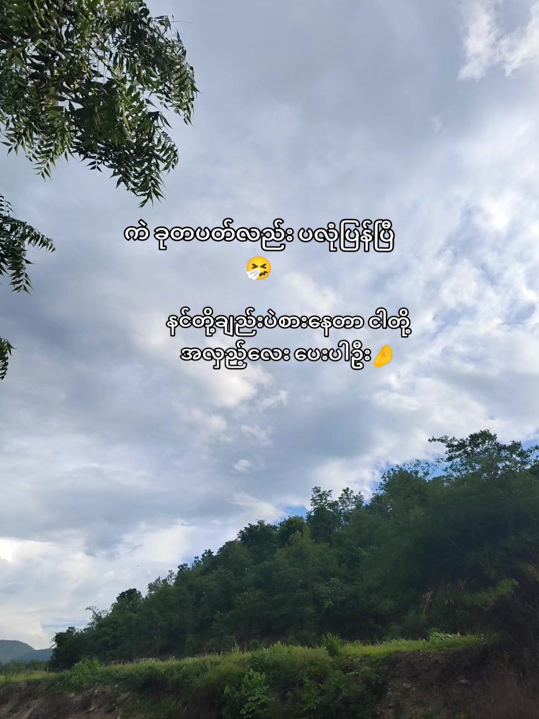 @🍃အမ်"Bi🍀
