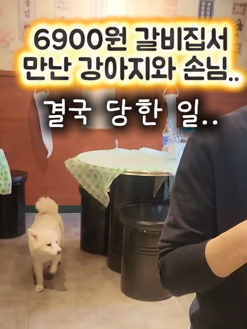 @광자