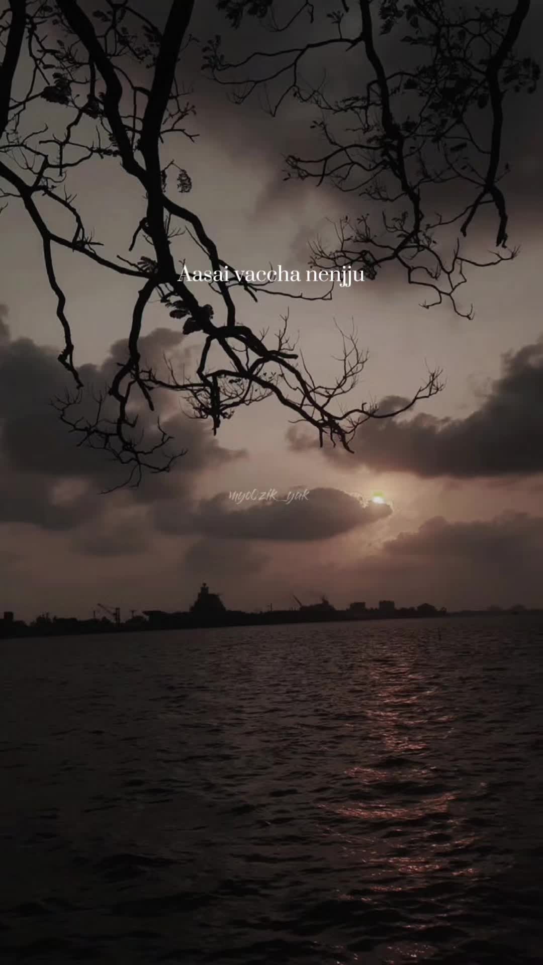 @ꪑꪗꪮ੦ɀỉƙ_ꪗꪖƙ ♪♫♬ 🧬