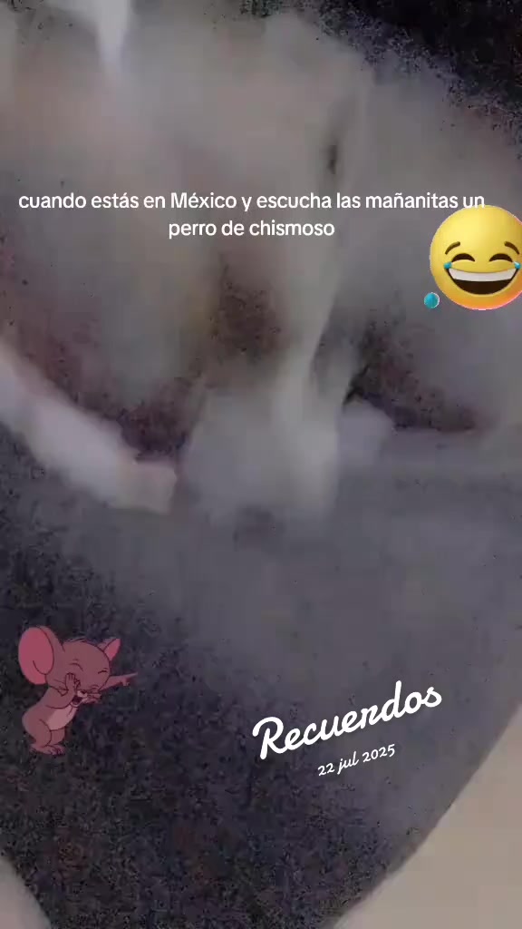 @mendozza ๐