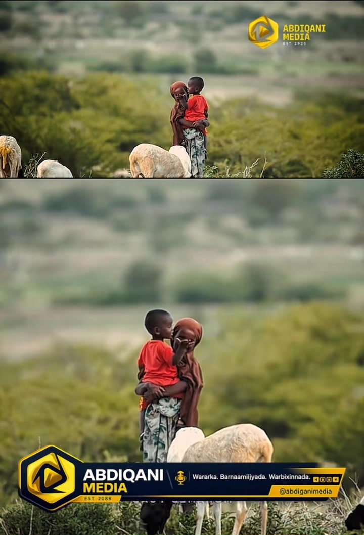 @Abdiqani media