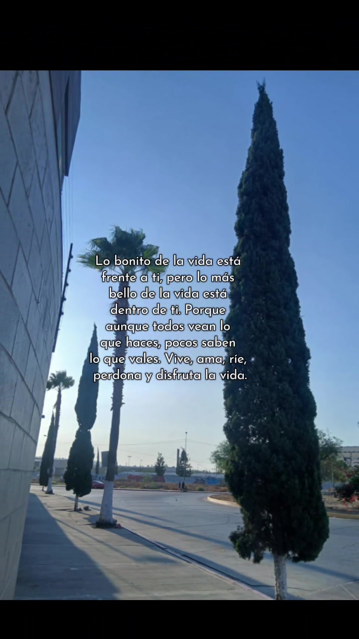 @.🤗 𝕮𝖎𝖗𝖔 𝕬.𝕽𝖊𝖞𝖊𝖘